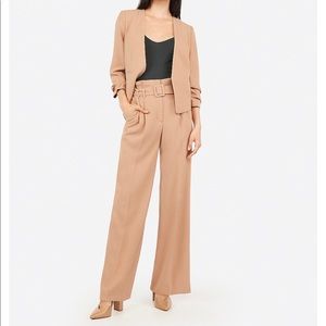 Express dress pants